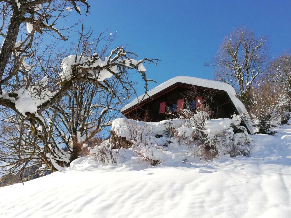 Ferienhaus Schnider Galgenul Exterior photo